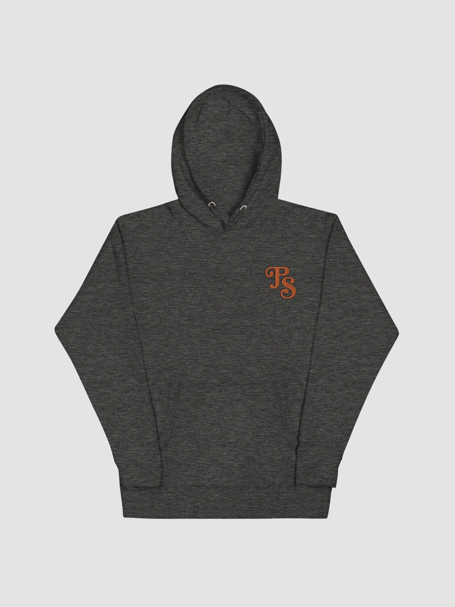 Popular Science Retro Logo Embroidered Hoodie product image (1)