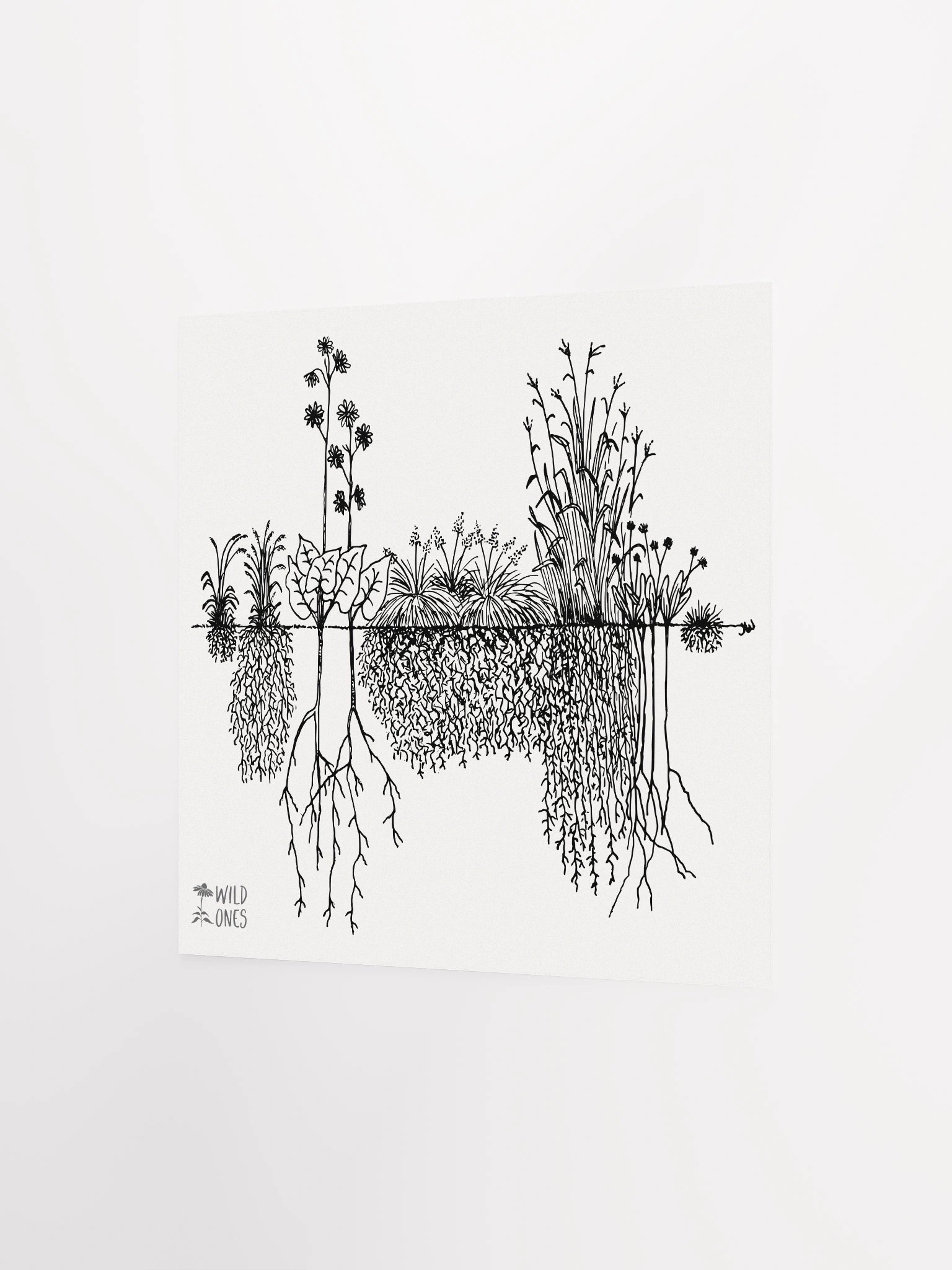 Deep Roots (Poster) product image (8)