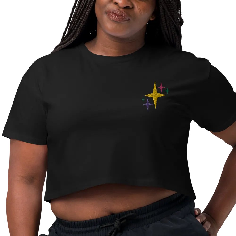 stardust embroidered crop tee product image (3)