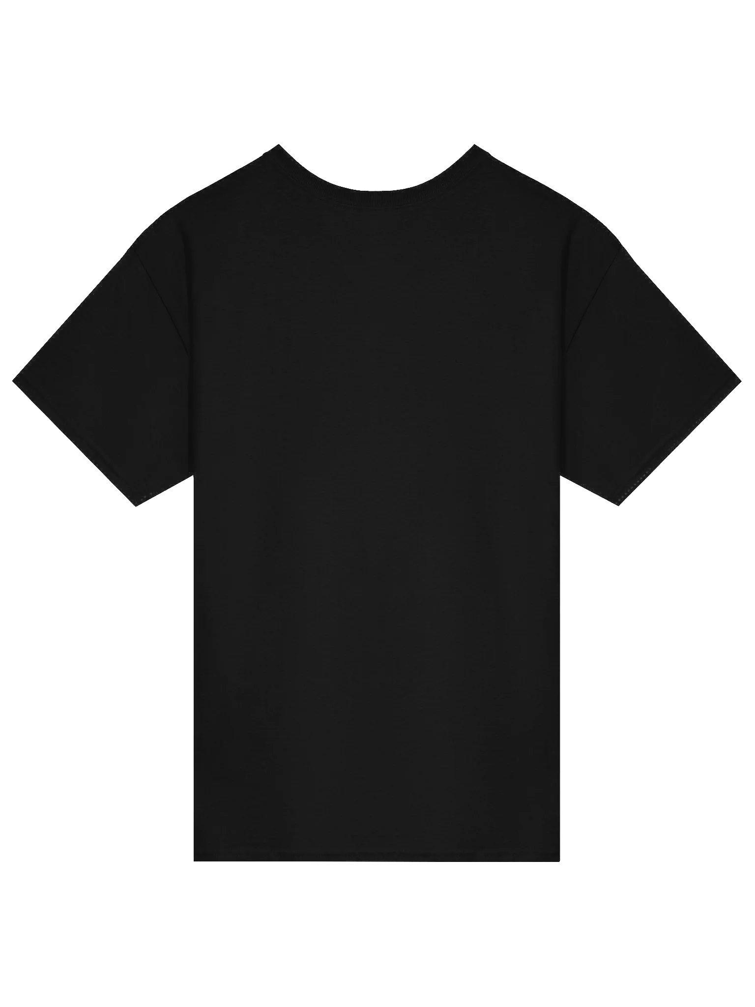 Government Watchlist Tee product image (2)
