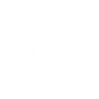 Karoboard