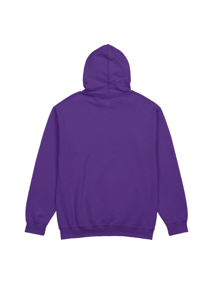 Bear and Bird - Gildan Classic Hoodie product image (18)