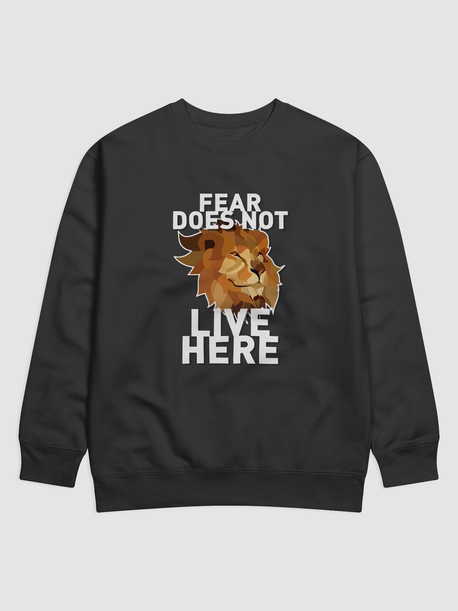 FEAR DOES NOT LIVE HERE product image (2)