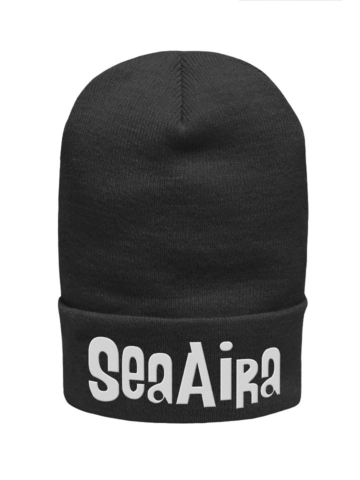 AHDN Logo Beanie product image (1)