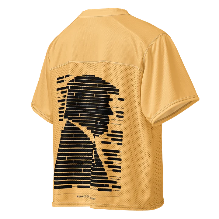redacted epstein files product image (1)