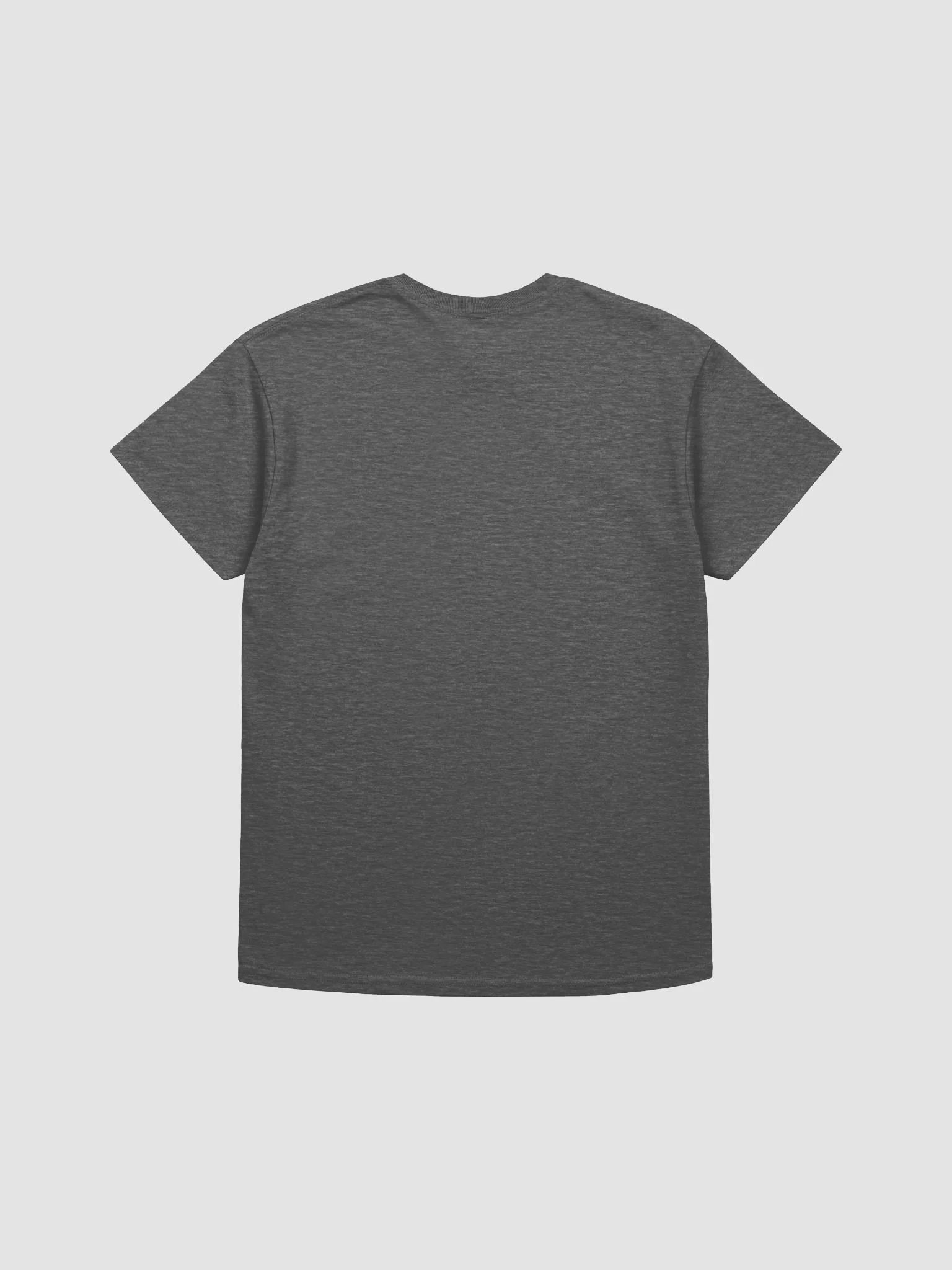 EXTRAORDINAIRE IMMIGRANT TSHIRT DARK HEATHER product image (2)