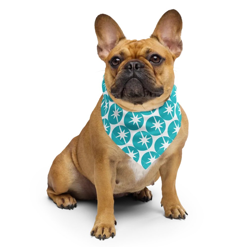 Bandana / Scarf product image (6)