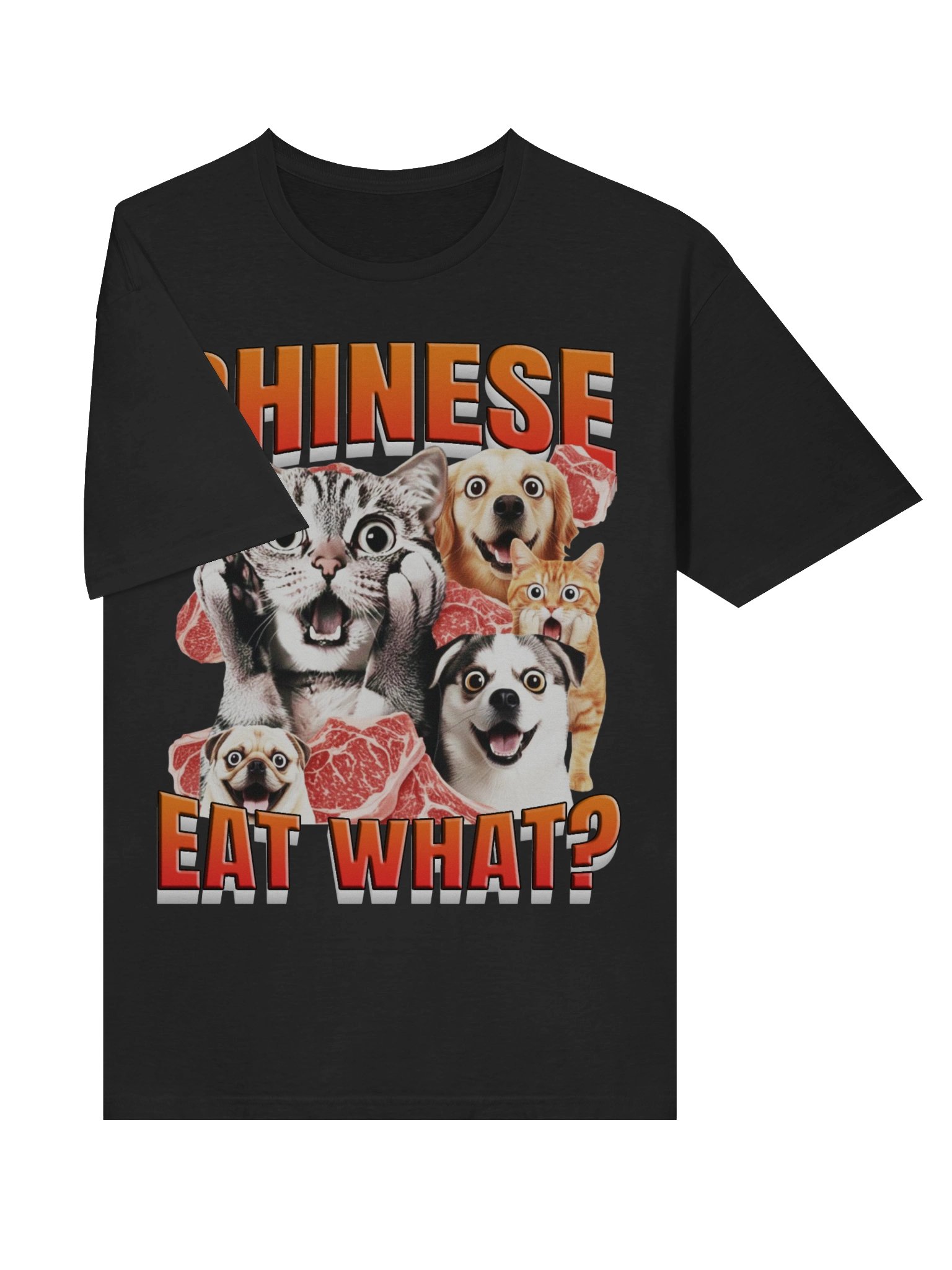 Chinese Eat What? T-Shirt product image (5)