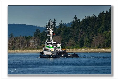 Tug Hudson  making her way out of Guemes Channel  classic Pacific Northwest evergreen shoreline. 
Www.jasonmosleyphotography....