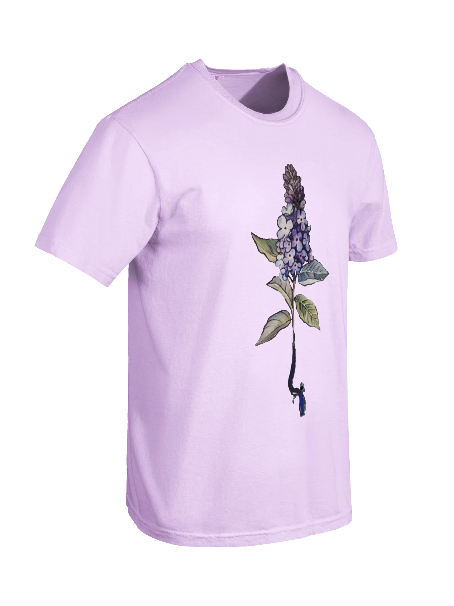 Buddlea Heavyweight T-shirt product image (6)
