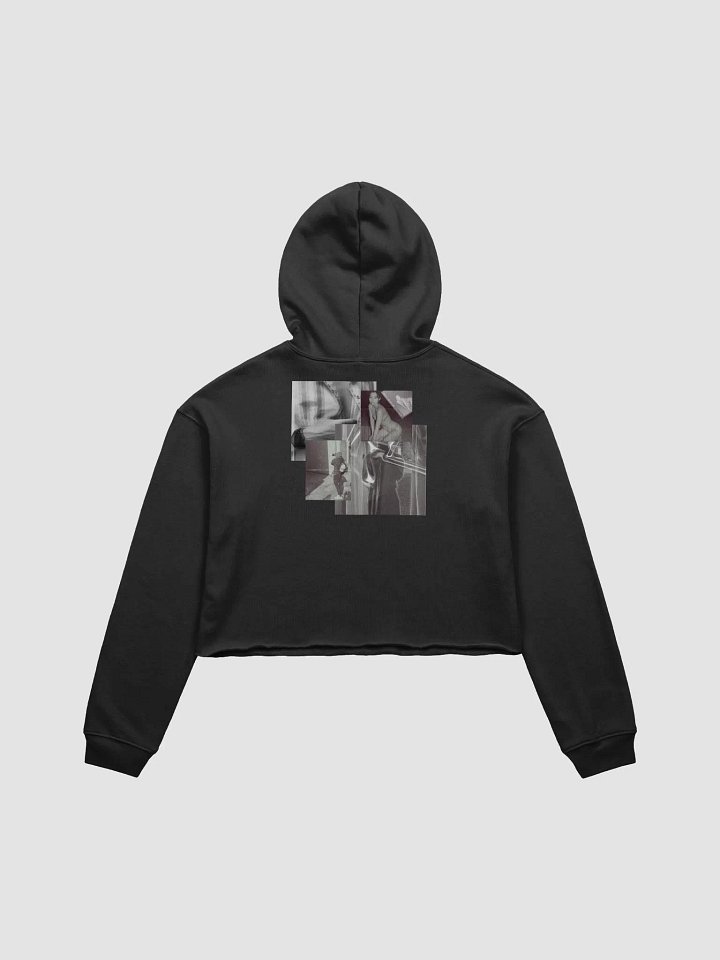 Paradise palm product image (6)