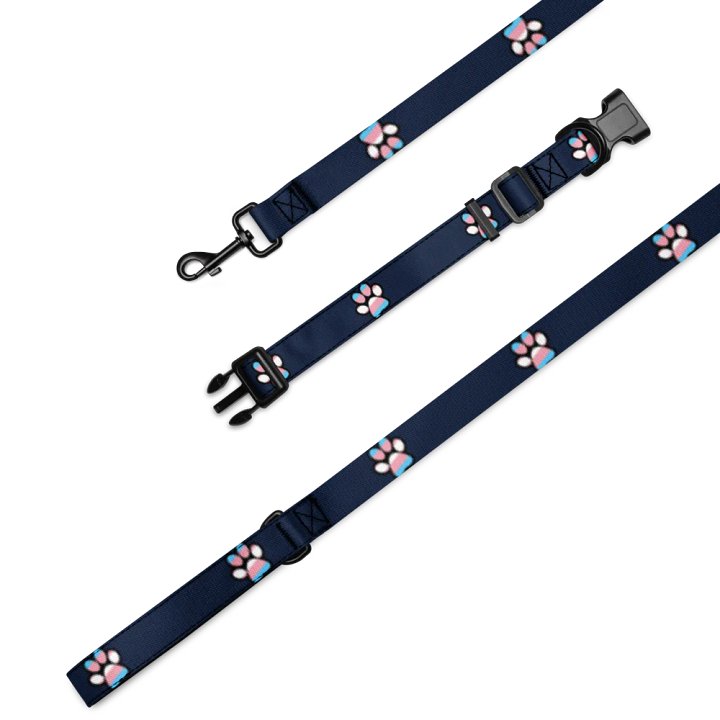 Trans Paw Print Leash & Collar Set product image (1)