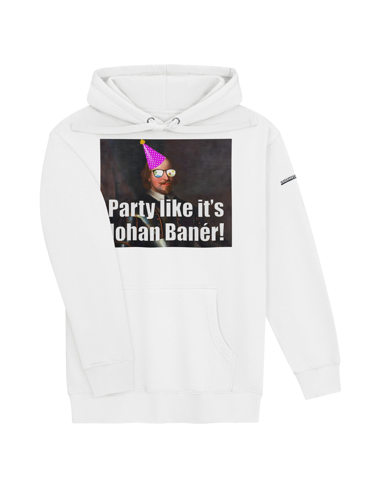 Party like it's Johan Banér (Hoodie) product image (3)