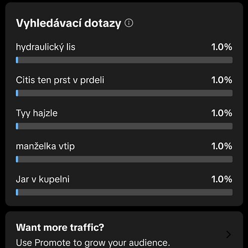Koukal jsem se do statistik, a pod těmito mě lidé hledali na Tik Tok.
Máte tam taky nějaké zajímavé? Hoďte je sem do komentář...
