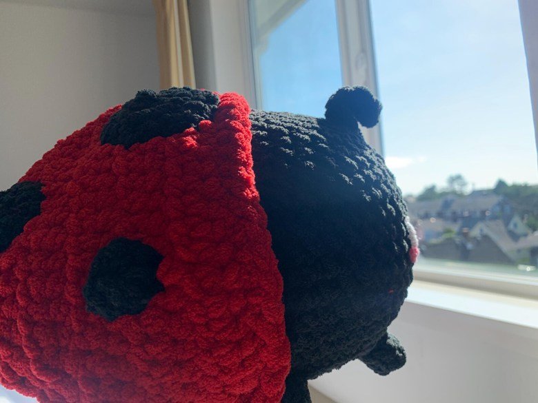Lynn the Ladybug - Digital Pattern PDF product image (3)