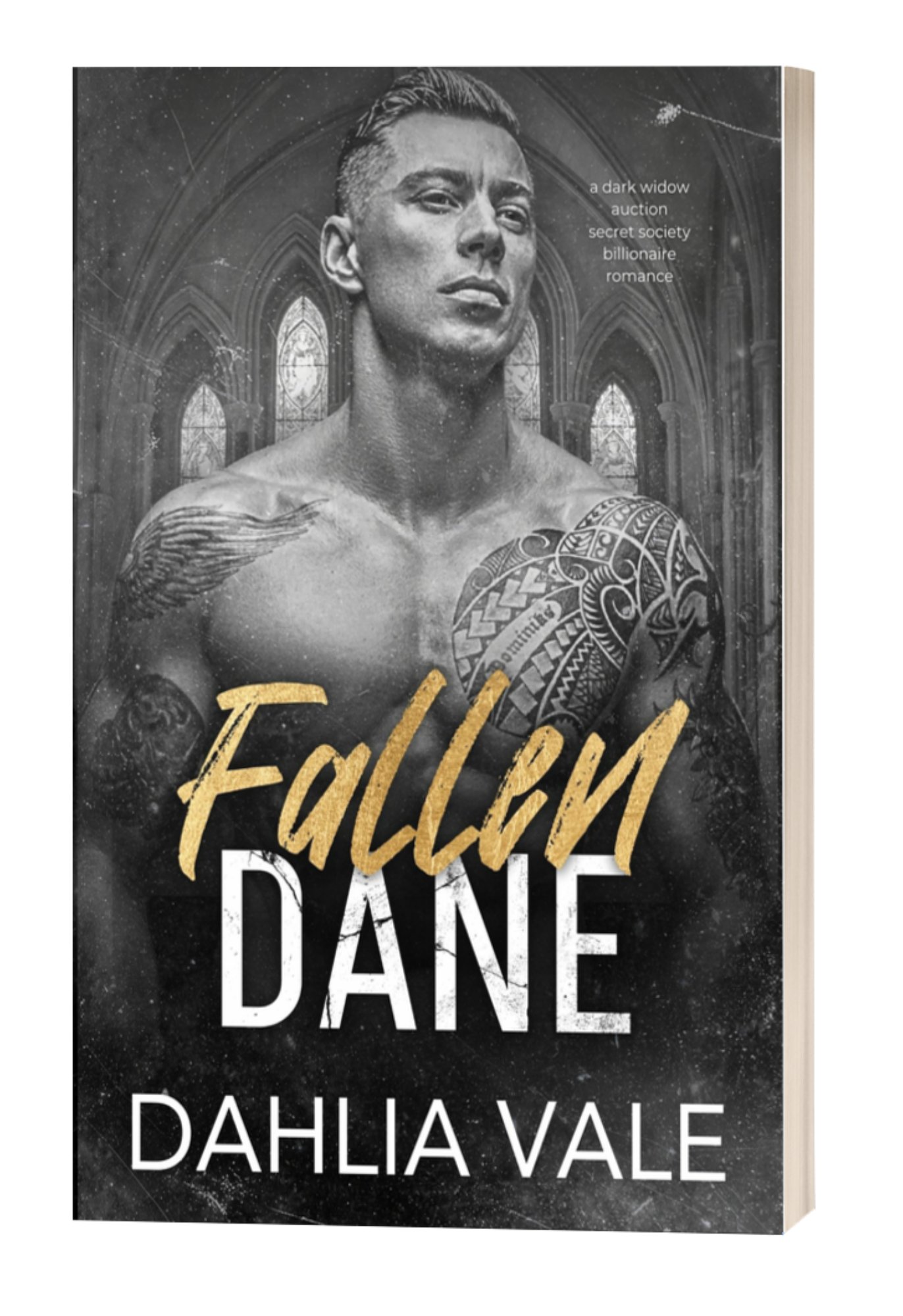 Fallen Dane: Signed Paperback (Shipped Price - US ONLY) product image (1)