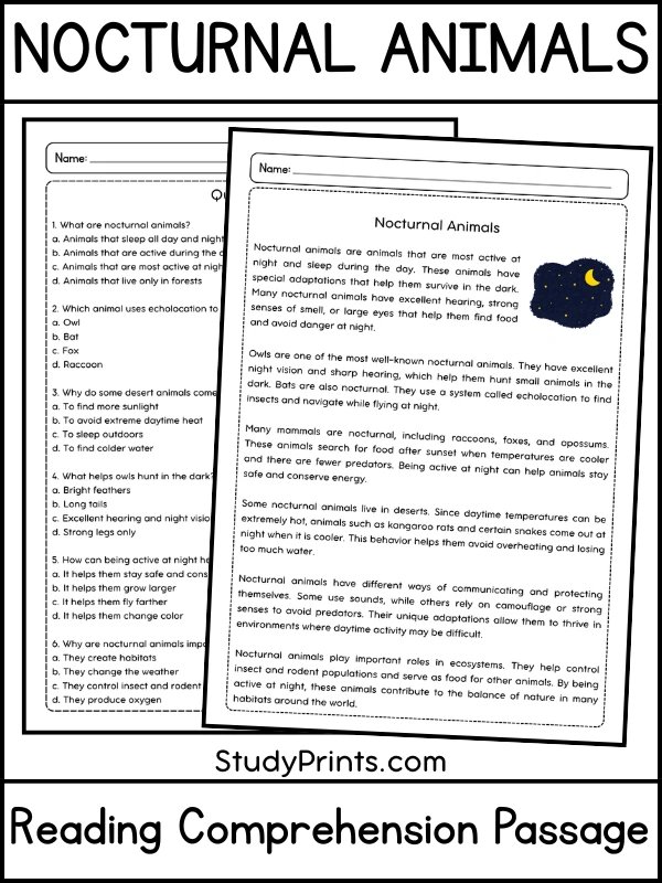 Nocturnal Animals Reading Comprehension Passage and Questions | Printable PDF product image (1)