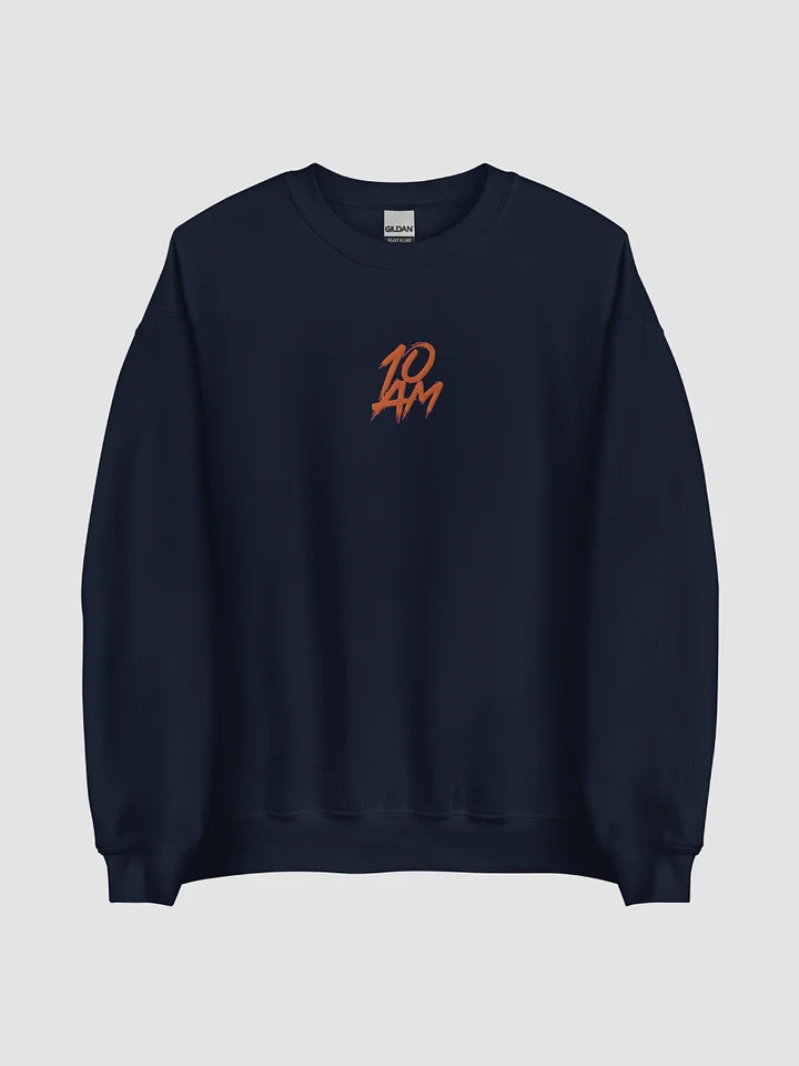 10AM Embroidered Sweatshirt product image (1)