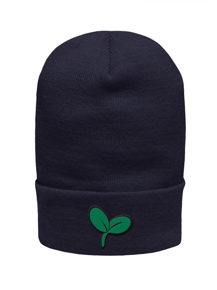 Sprout Beanie product image (1)