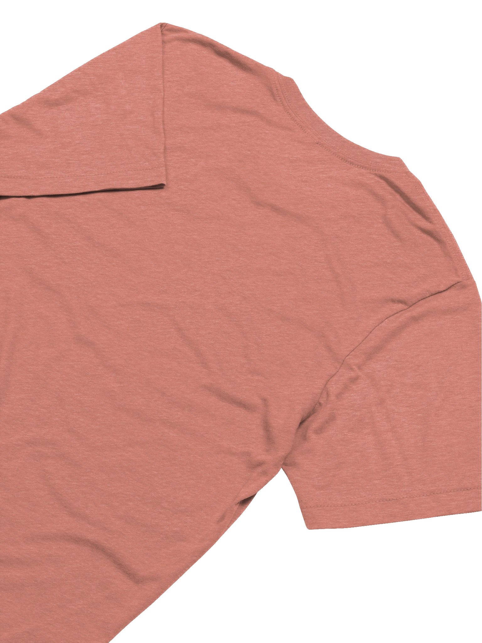 Fly Illustration Tri-Blend Tee product image (79)