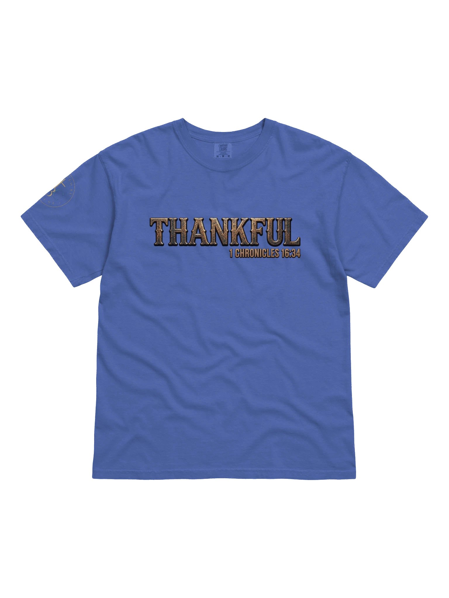 Biblical Truths: Thankful product image (11)