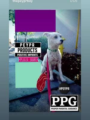 The PEYPR Trail : The PEYPR Boy Delivers w/ The PEYPR Pretty Pink Princess Peachy Pera #FollowThePeyprTrail #PublishYourPeyprTrail #ThePeyprBoyDelivers #ProcureProducePlaybackty #positiveenergyyieldspositiveresults 
