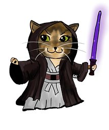 Missy Jedi membership