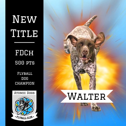Walter coming down the track HOT and firing out his FDCh at 500 points in NAFA racing 🔥🔥 What an achievement for this very go...