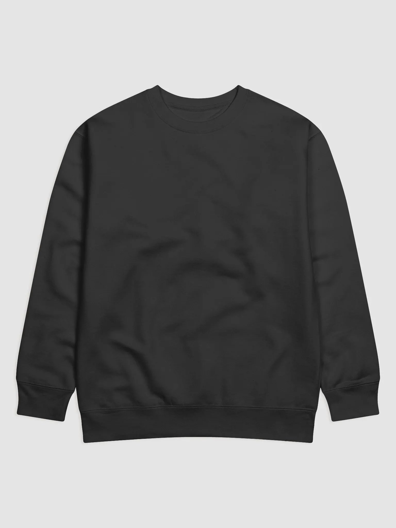 Balanced Life ECG Premium Sweatshirt product image (19)