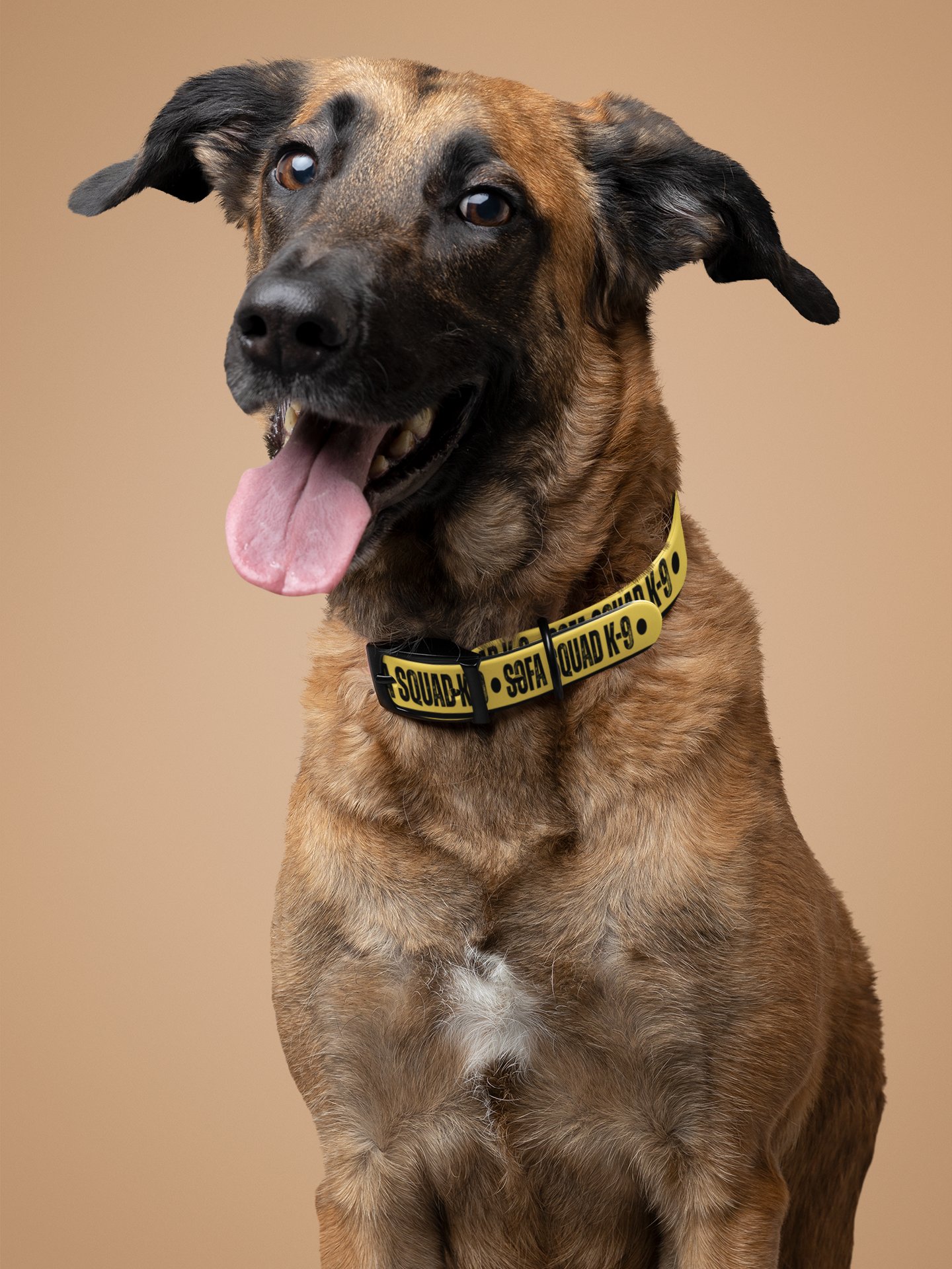 Sofa Squad K-9 Dog Collar product image (3)