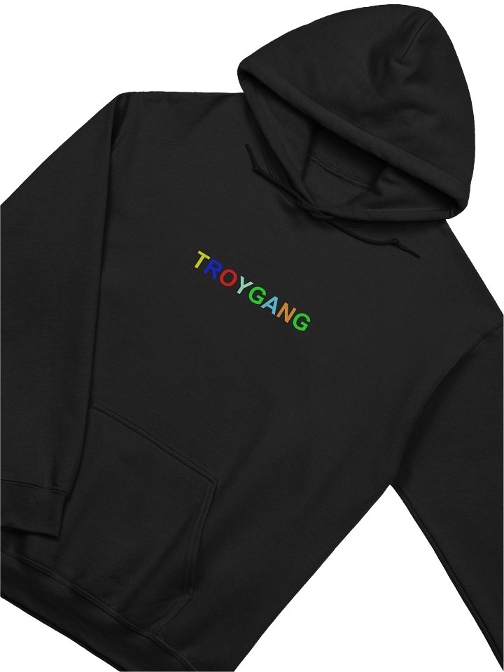 TROYGANG hoodie product image (2)