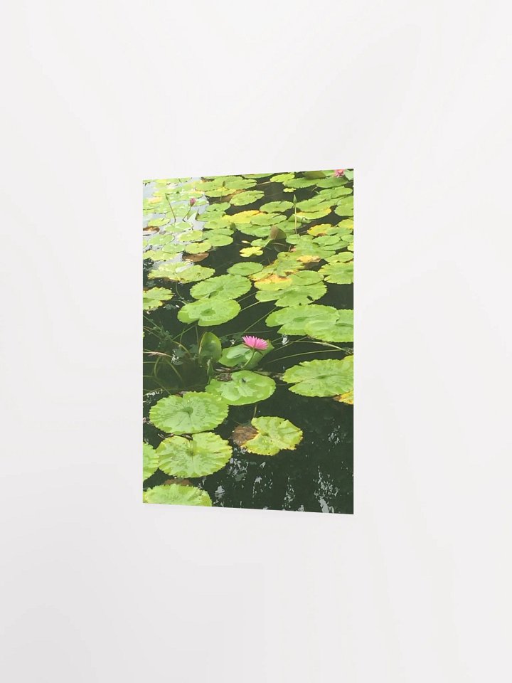 Reflections of Serenity Poster product image (4)