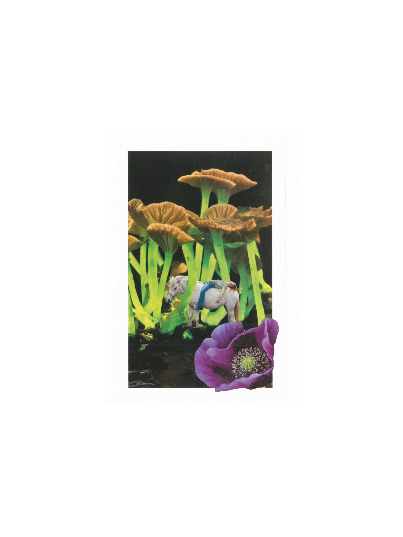 Lysergic Bliss product image (1)
