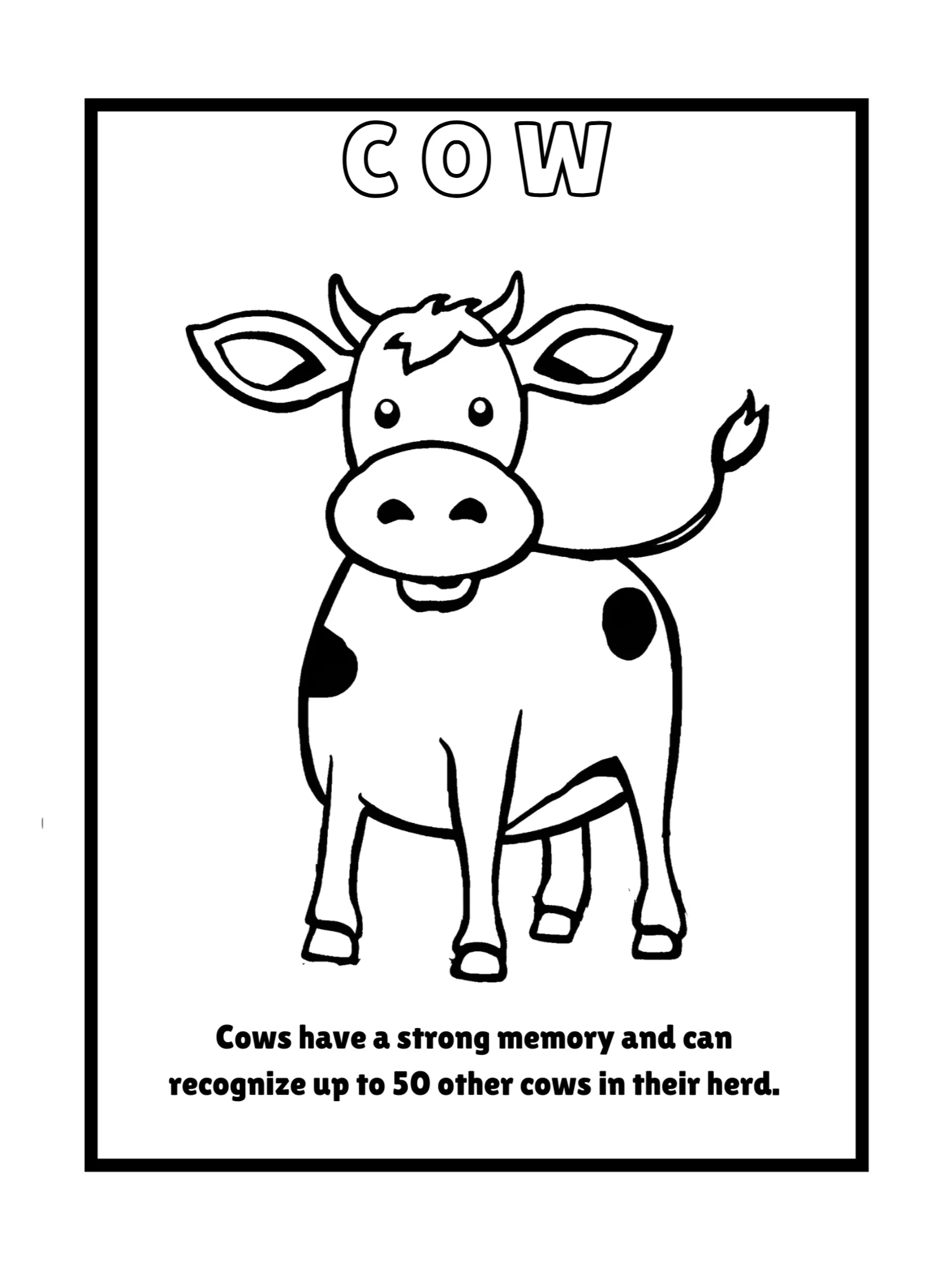Educational Animals Coloring Pages product image (4)