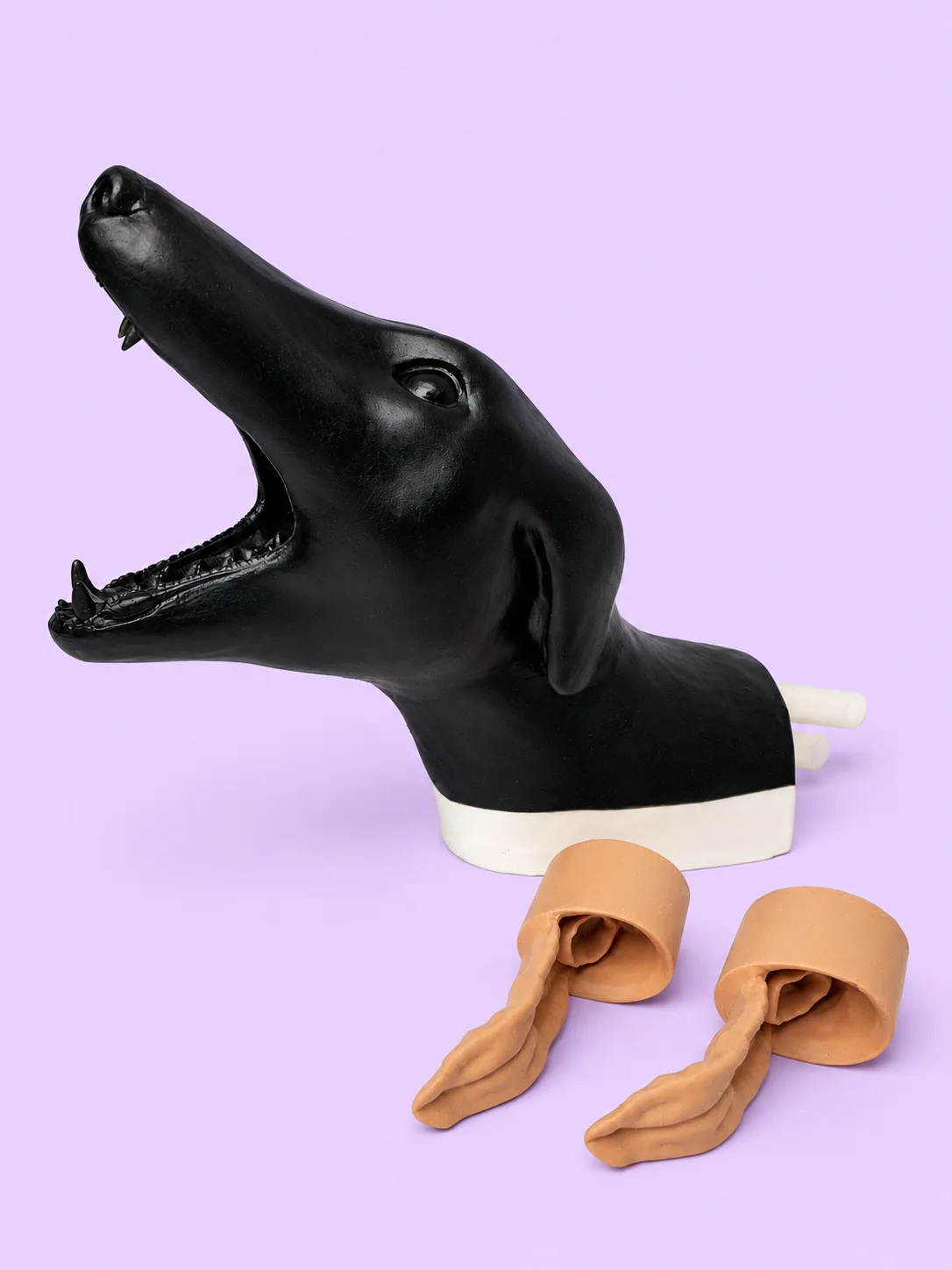 Canine Intubation Simulation Model product image (1)