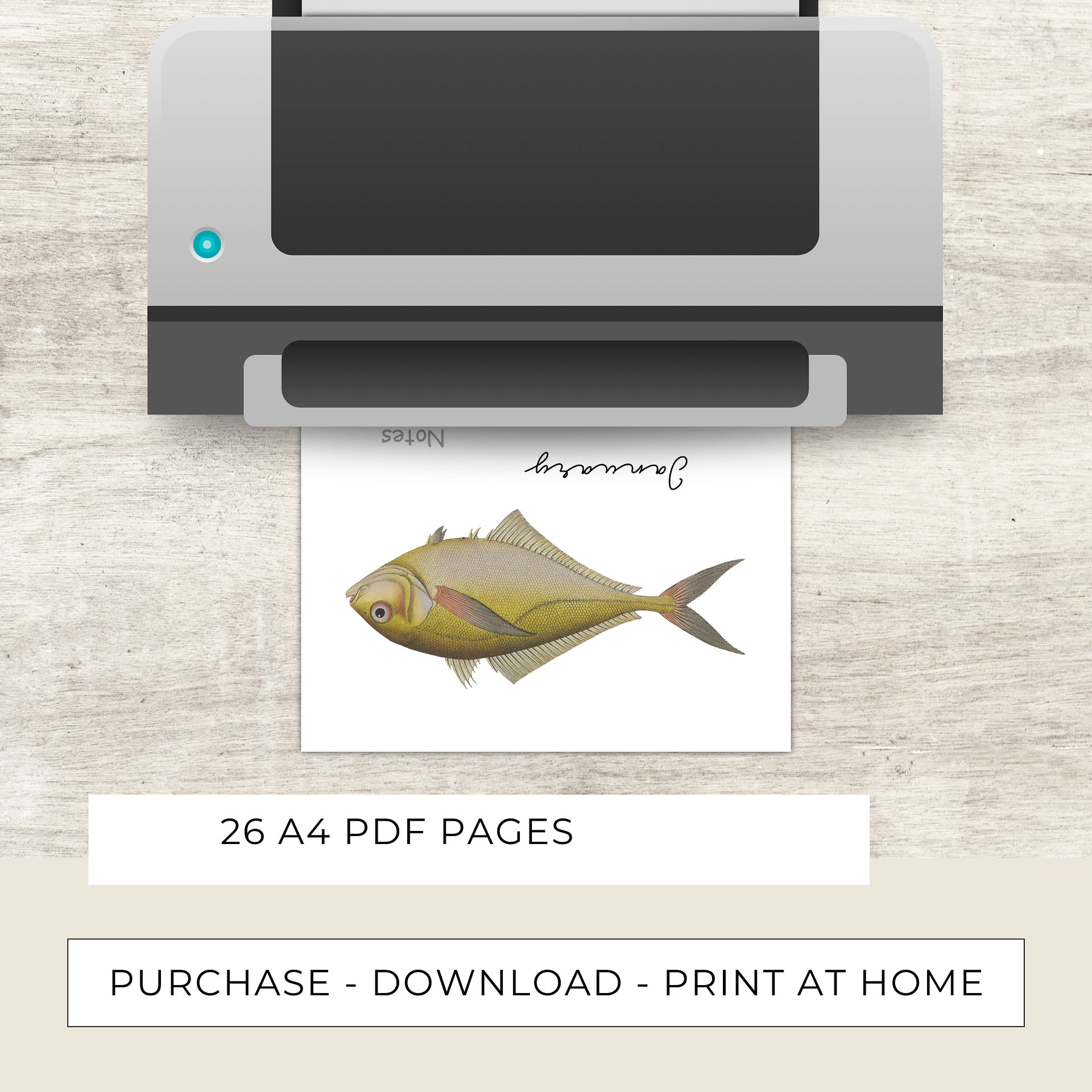 2025- 2026 PDF Calendar: Ocean Life product image (8)