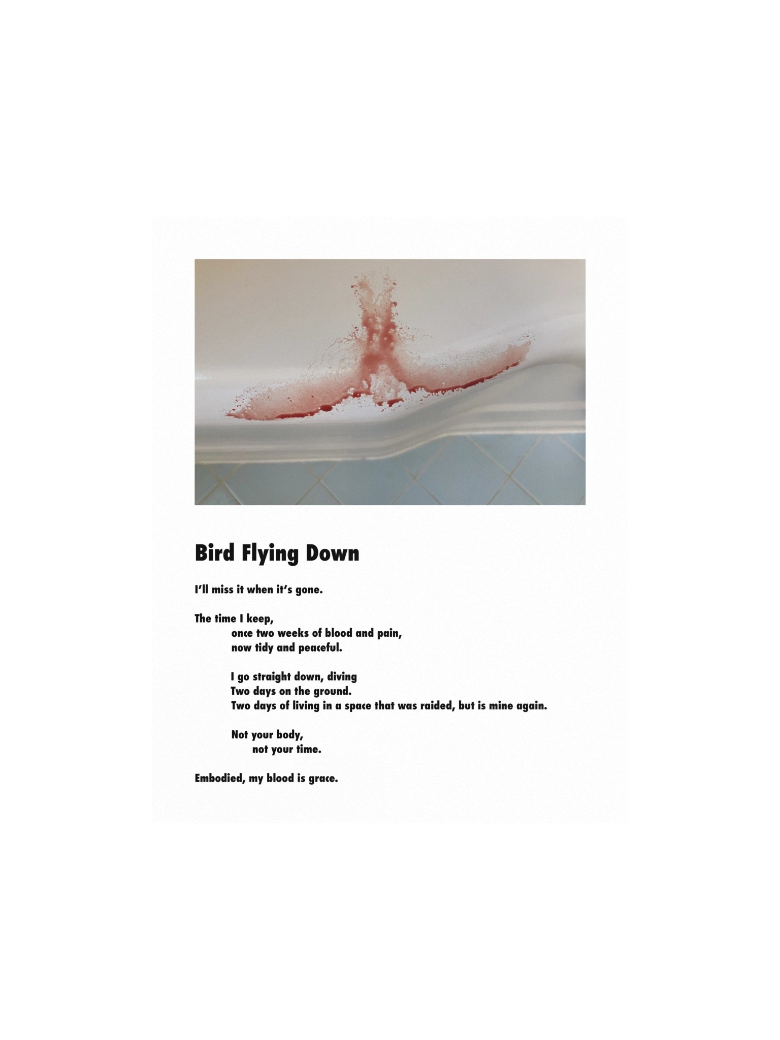 Bird Flying Down Poster product image (1)
