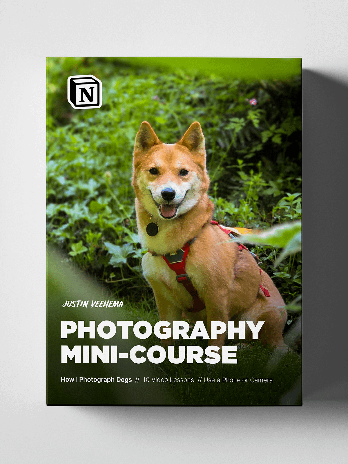 Photography Mini-Course | Justin Veenema Store | Dog Photography ...