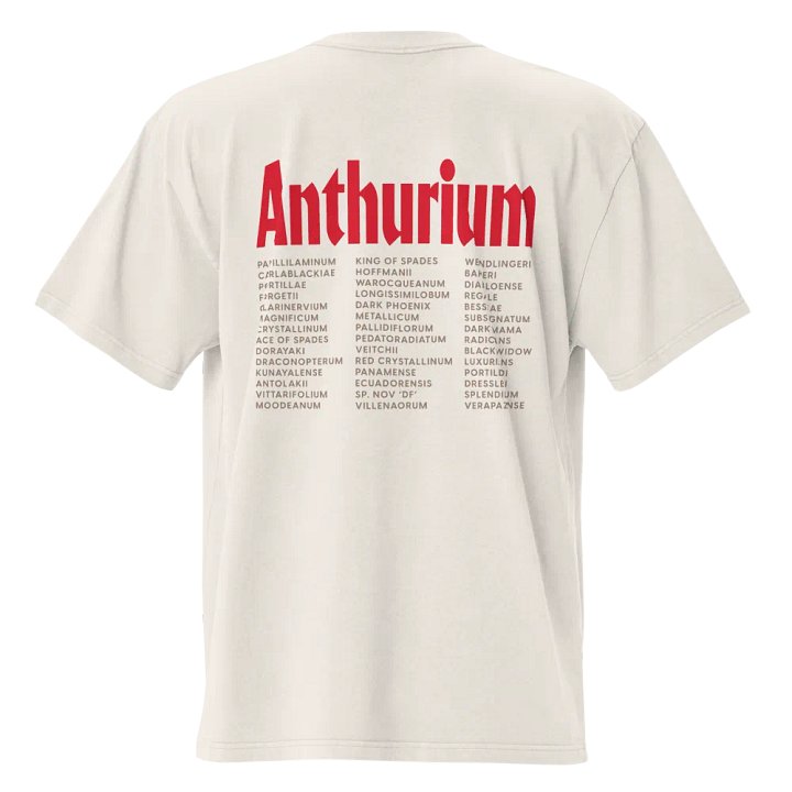 ⚡️ ANTHURIUM WORLD TOUR ⚡️ Oversized Faded T-Shirt product image (2)