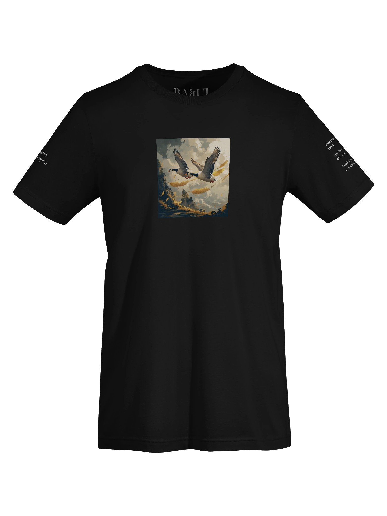 I Ching, Hexagrams T-Shirt, Development (Gradual Progress) product image (5)