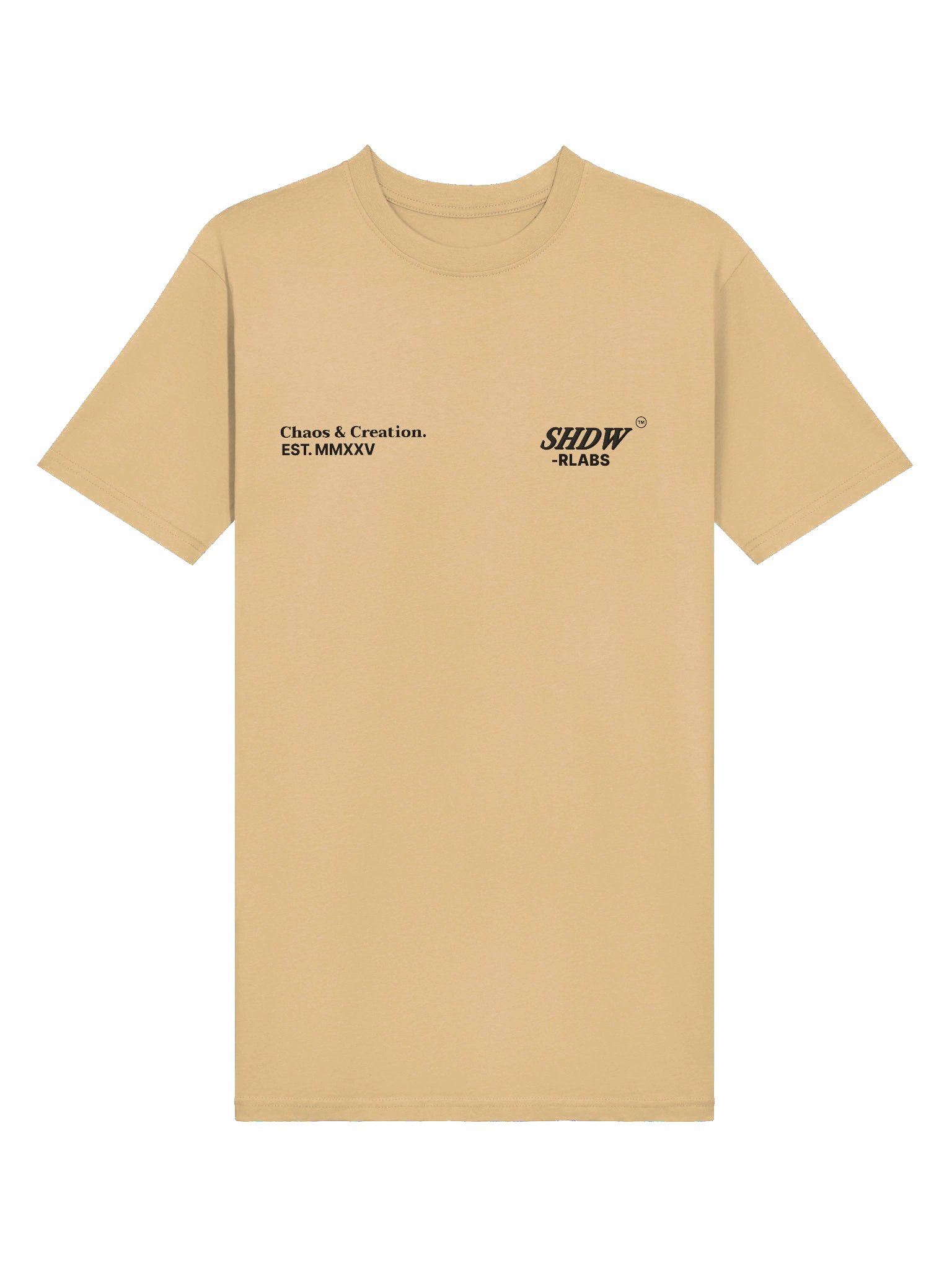 OVERSIZED TEE - SHDW LABS product image (6)