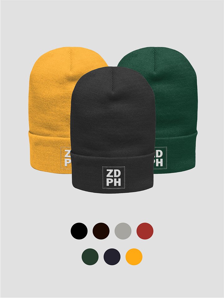 ZDPH | Beanie product image (1)