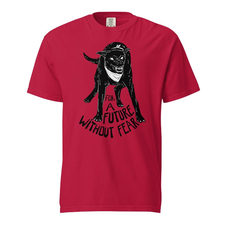 For a Future Without Fear product image (37)