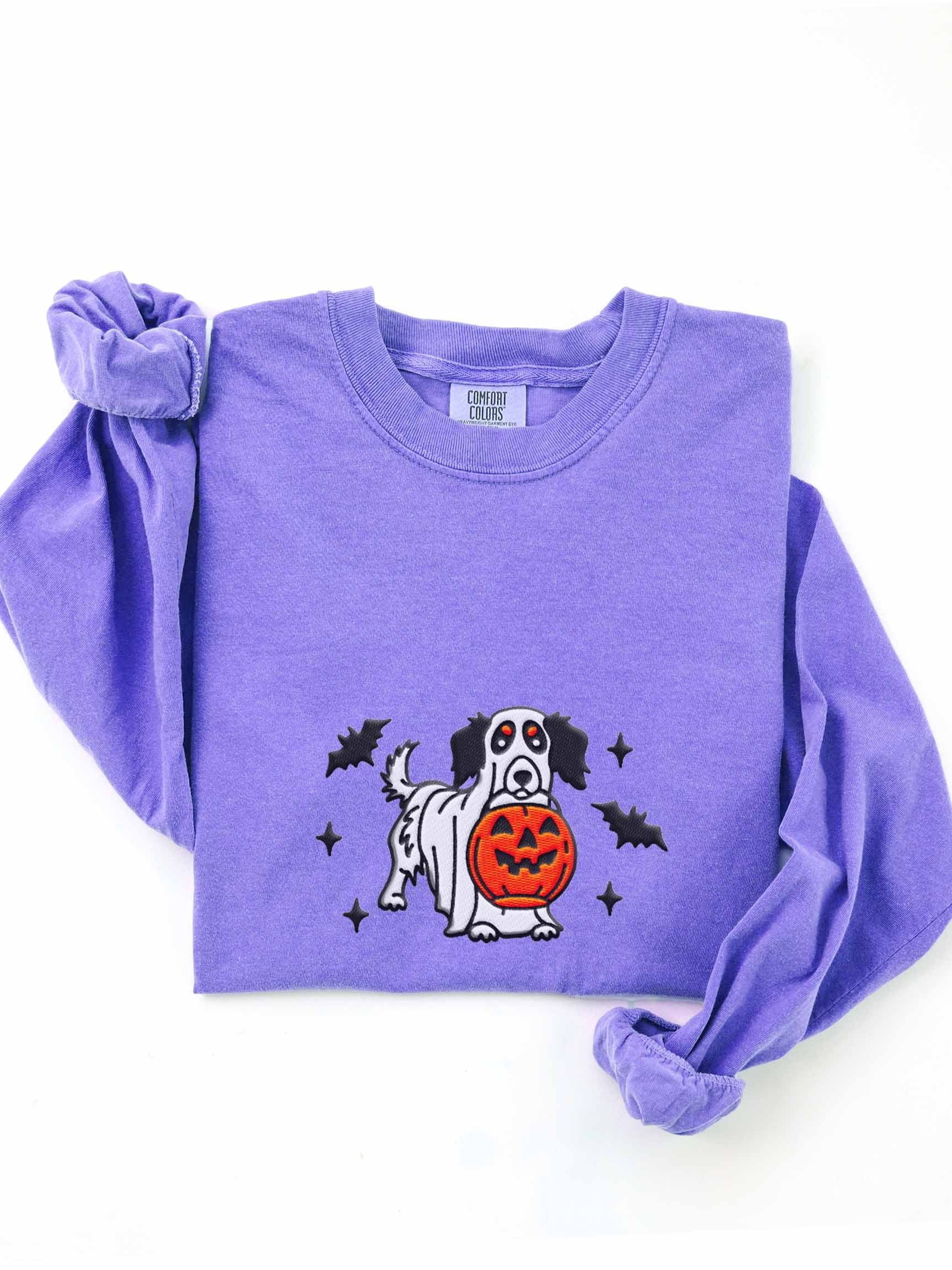 Halloween Longhaired Dachshund(Pied, Black) Embroidered Long-sleeved T-Shirt product image (1)