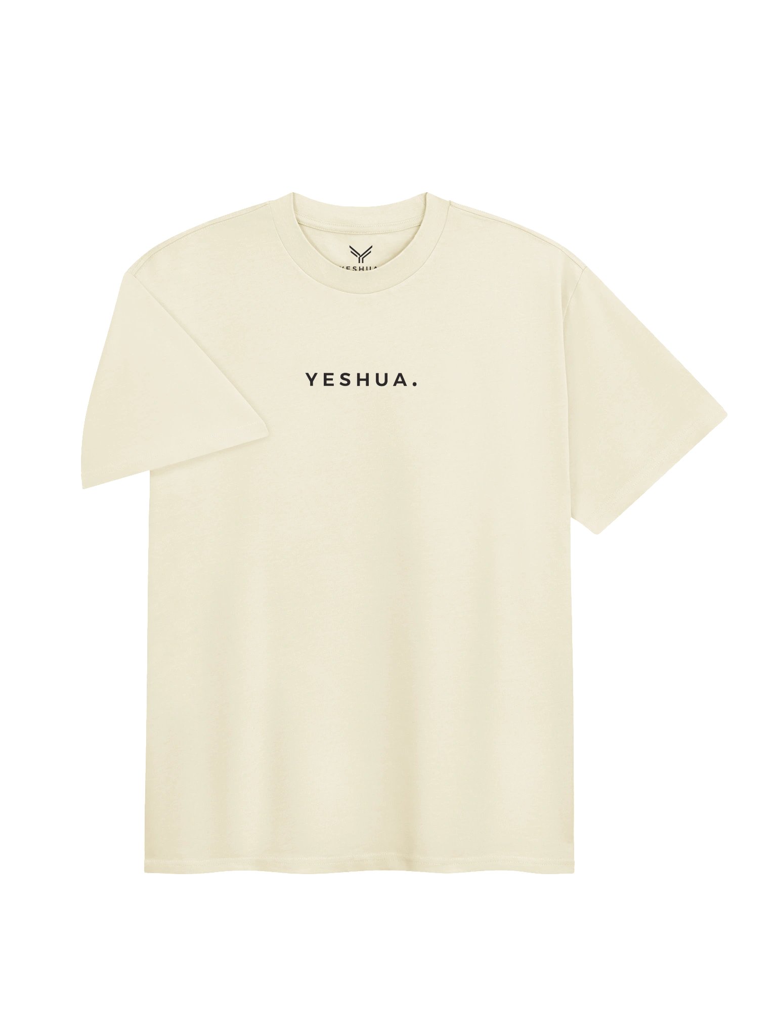 YESHUA.- HIS VICTORY OUR PURPOSE- HEAVY SHIRT product image (3)