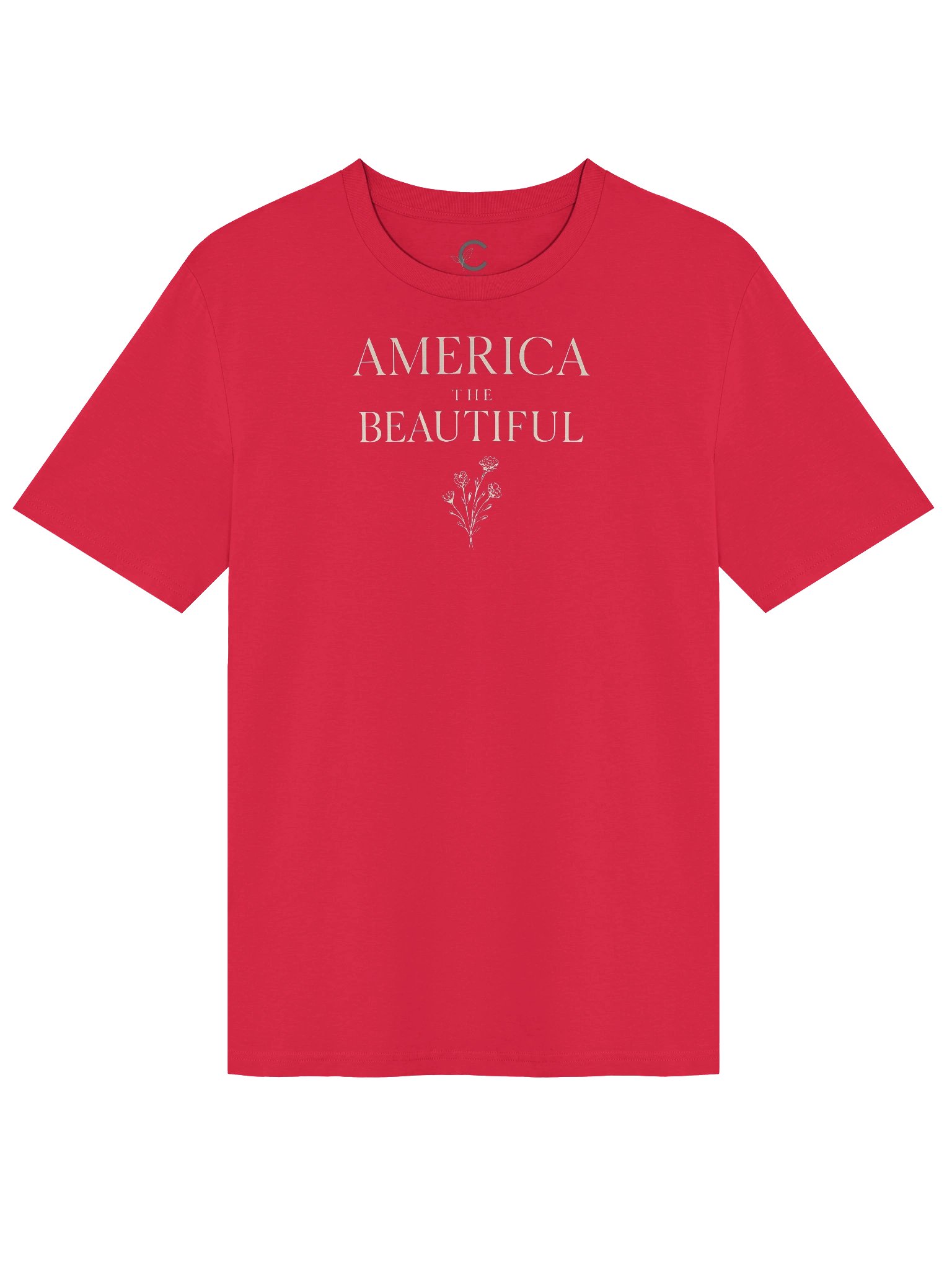 America 250: "America IIII" Organic T-Shirt product image (2)
