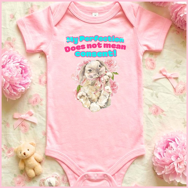My perfection does not mean consent!🩷Super Soft🪽Onesie🩷 product image (1)