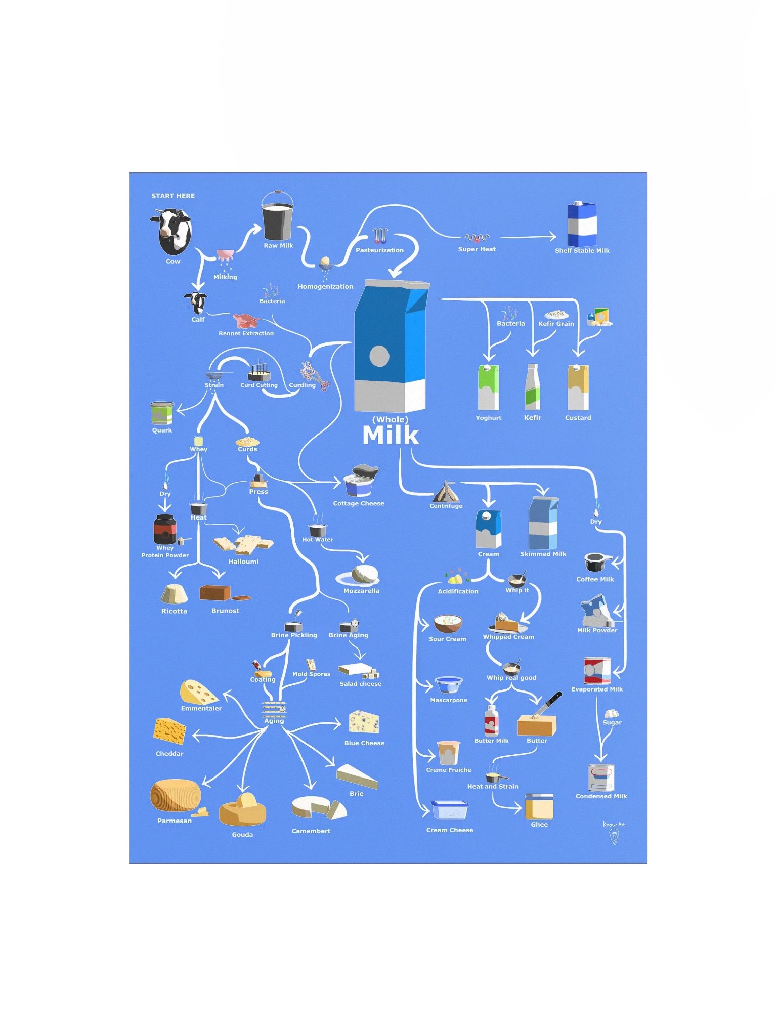 The Family Tree of Milk - Poster product image (3)