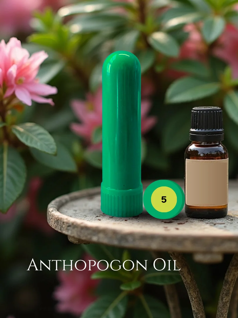 Olfaria Pine Odor Training Kit | 5 Single-Note Essential Oils | Scent Education | Train Your Nose product image (6)