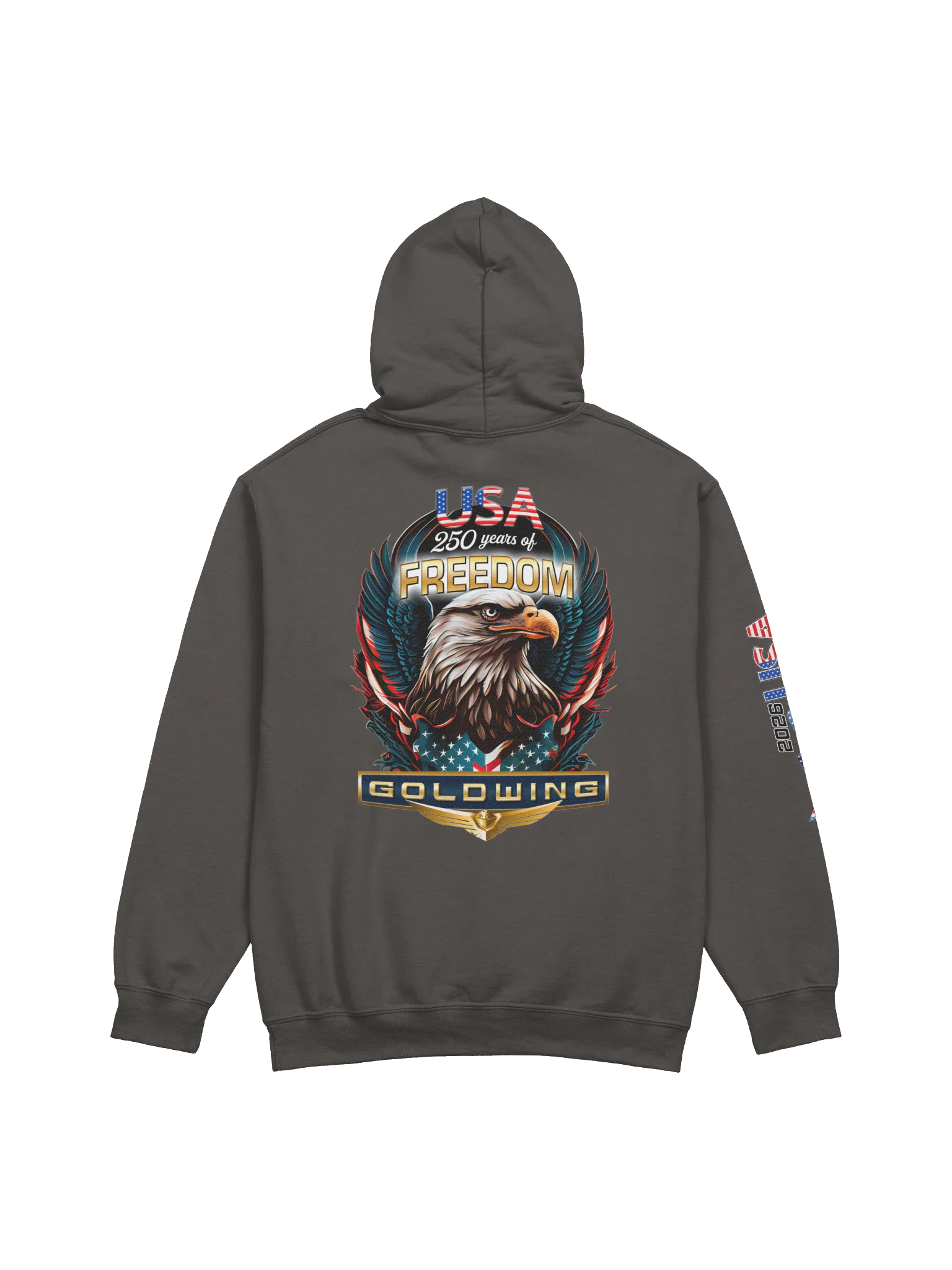 America 250 GOLDWING Hoodie product image (9)